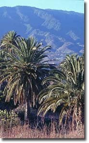 Breña Baja. La Palma