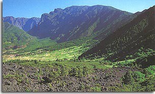 El Paso. Isla Bonita. La Palma.