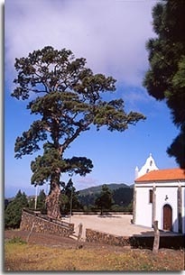El Paso. Isla Bonita. La Palma.