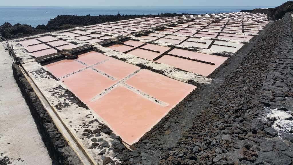 salinas