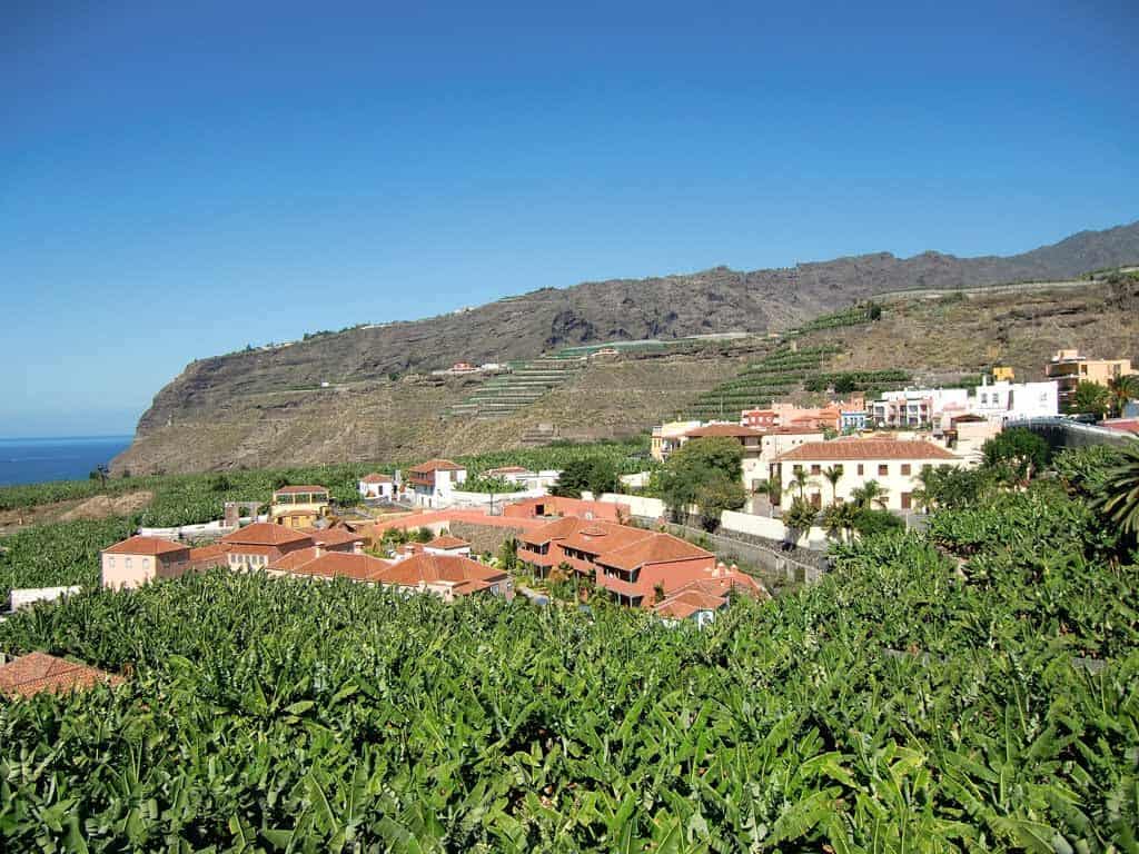tazacorte2